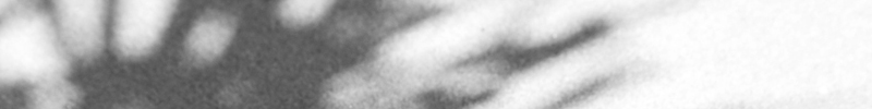 contact image